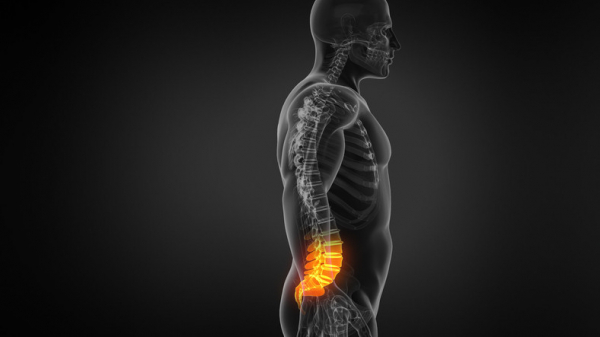 You are currently viewing Back pain: Will treatment for the mind, body—or both—help?